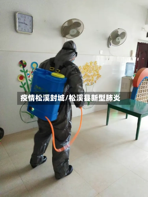 疫情松溪封城/松溪县新型肺炎-第2张图片