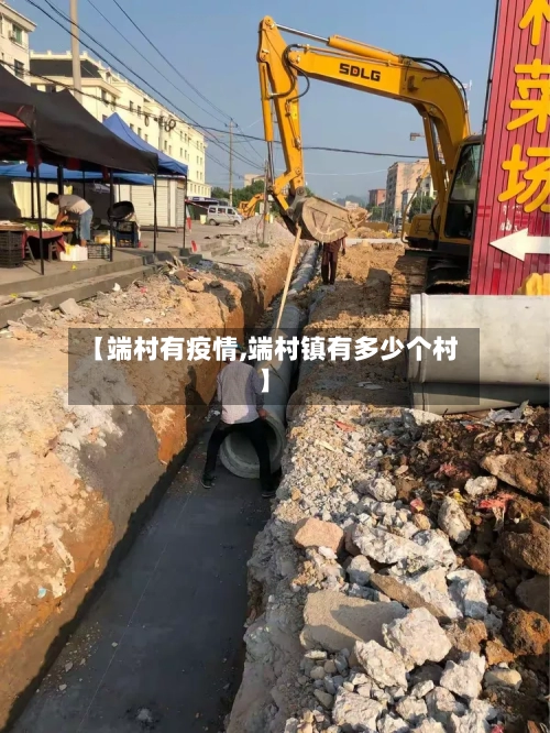 【端村有疫情,端村镇有多少个村】