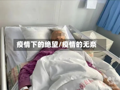 疫情下的绝望/疫情的无奈