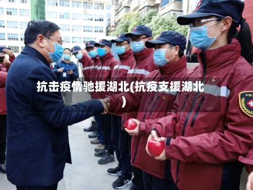 抗击疫情驰援湖北(抗疫支援湖北)-第2张图片