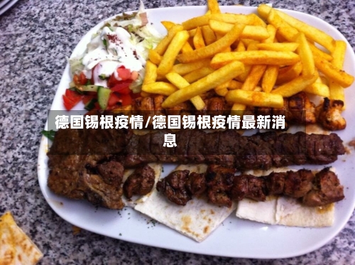 德国锡根疫情/德国锡根疫情最新消息