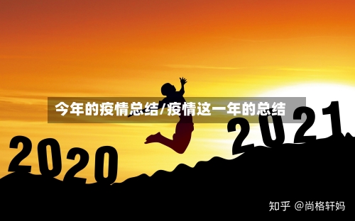 今年的疫情总结/疫情这一年的总结-第2张图片