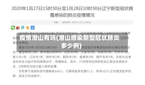 疫情潜山有吗(潜山感染新型冠状肺炎多少例)-第2张图片