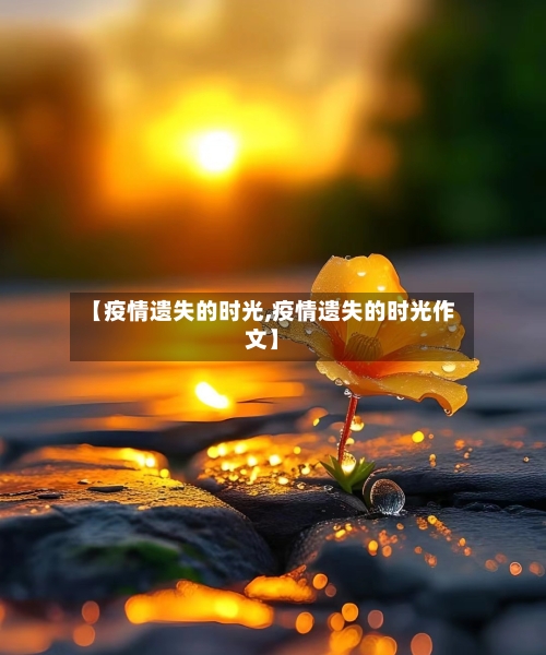 【疫情遗失的时光,疫情遗失的时光作文】-第3张图片