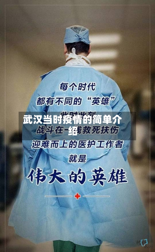 武汉当时疫情的简单介绍-第2张图片