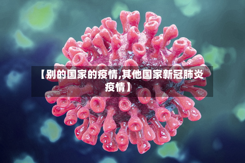 【别的国家的疫情,其他国家新冠肺炎疫情】
