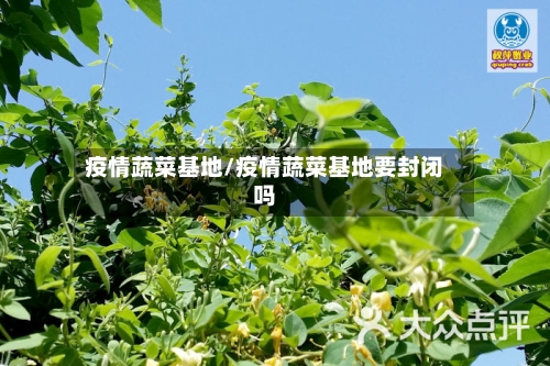 疫情蔬菜基地/疫情蔬菜基地要封闭吗