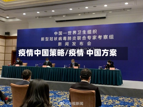 疫情中国策略/疫情 中国方案