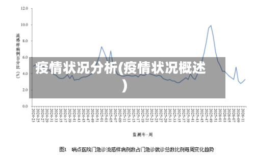 疫情状况分析(疫情状况概述)