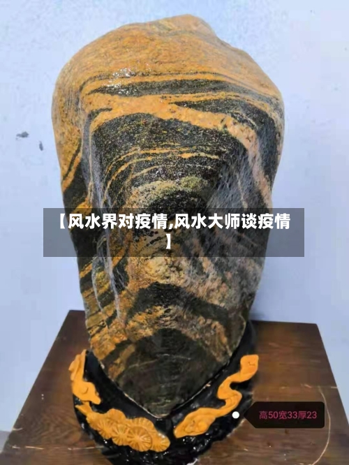 【风水界对疫情,风水大师谈疫情】-第1张图片