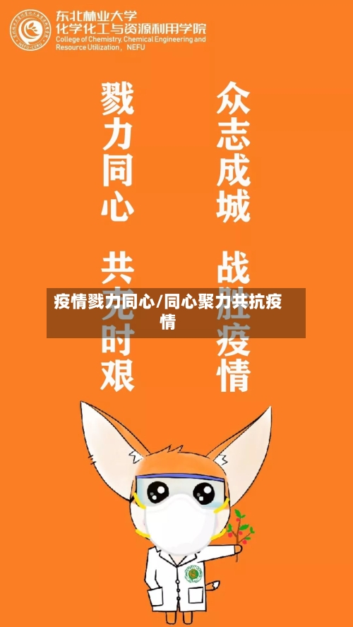 疫情戮力同心/同心聚力共抗疫情