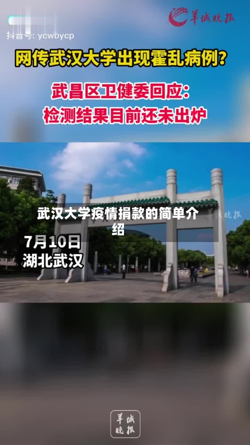 武汉大学疫情捐款的简单介绍-第3张图片
