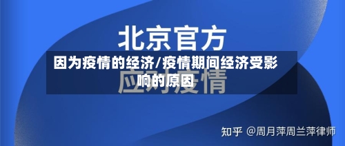 因为疫情的经济/疫情期间经济受影响的原因