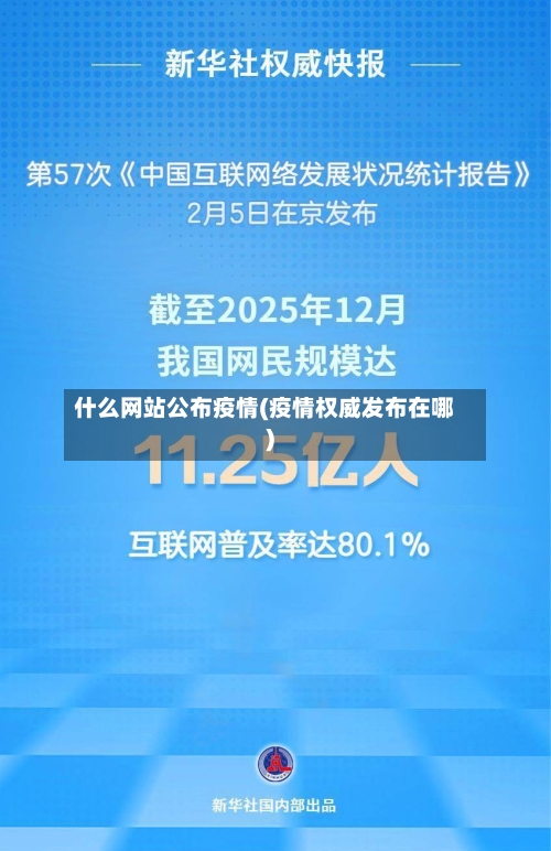 什么网站公布疫情(疫情权威发布在哪)-第3张图片