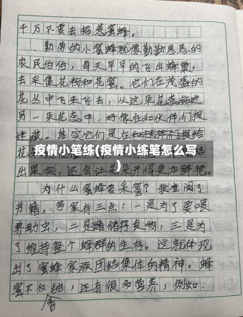 疫情小笔练(疫情小练笔怎么写)-第2张图片