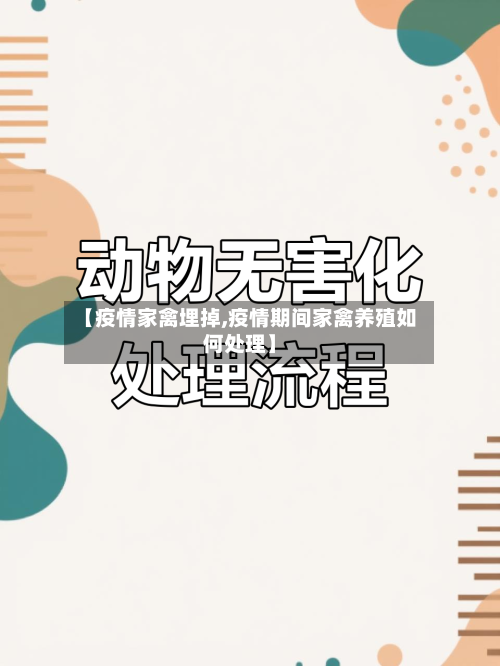 【疫情家禽埋掉,疫情期间家禽养殖如何处理】