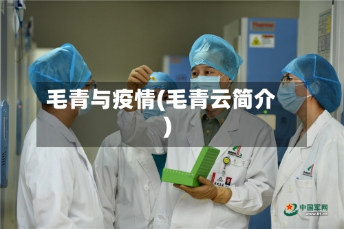 毛青与疫情(毛青云简介)