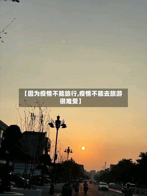 【因为疫情不能旅行,疫情不能去旅游很难受】-第2张图片
