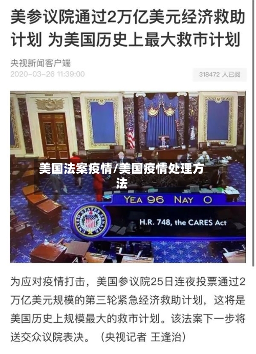 美国法案疫情/美国疫情处理方法