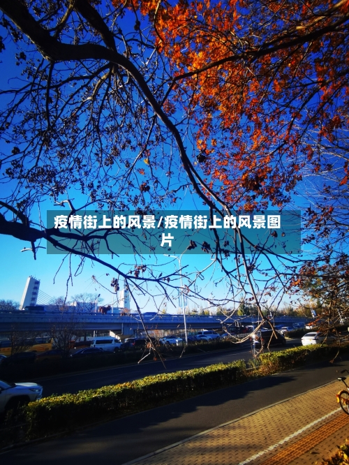 疫情街上的风景/疫情街上的风景图片-第2张图片
