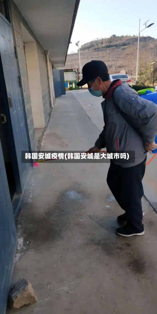 韩国安城疫情(韩国安城是大城市吗)