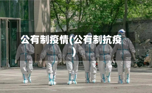 公有制疫情(公有制抗疫)