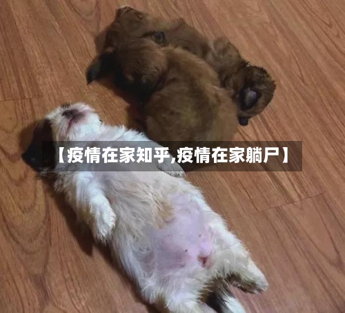 【疫情在家知乎,疫情在家躺尸】