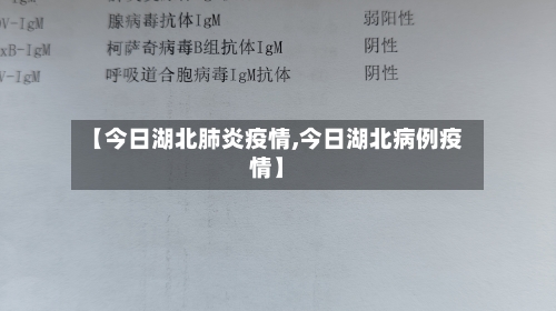 【今日湖北肺炎疫情,今日湖北病例疫情】-第2张图片