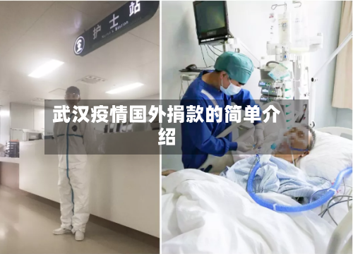 武汉疫情国外捐款的简单介绍-第3张图片