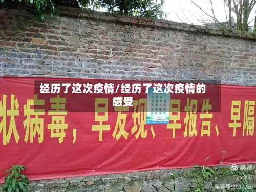 经历了这次疫情/经历了这次疫情的感受