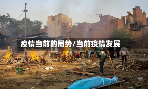 疫情当前的局势/当前疫情发展