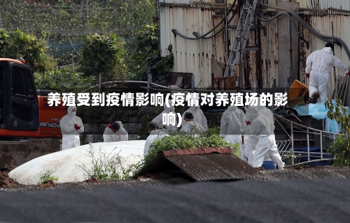 养殖受到疫情影响(疫情对养殖场的影响)-第2张图片