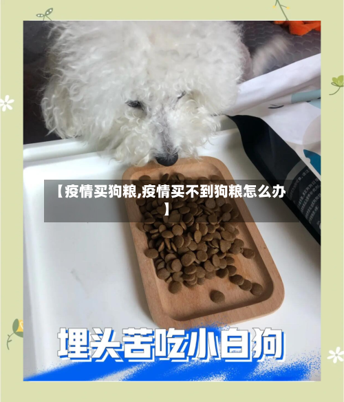 【疫情买狗粮,疫情买不到狗粮怎么办】-第2张图片