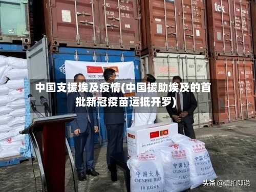 中国支援埃及疫情(中国援助埃及的首批新冠疫苗运抵开罗)