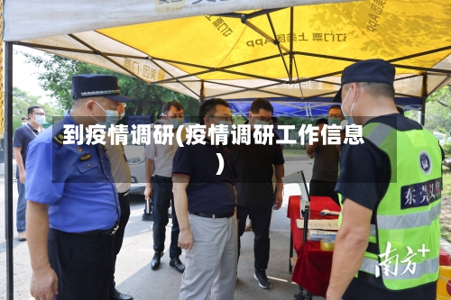 到疫情调研(疫情调研工作信息)