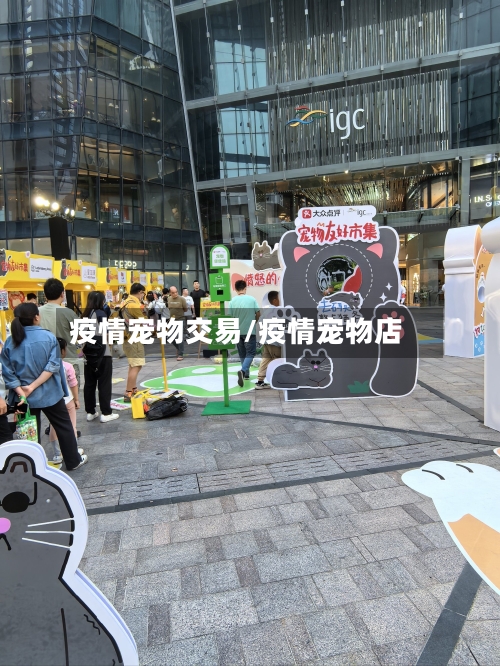 疫情宠物交易/疫情宠物店-第2张图片