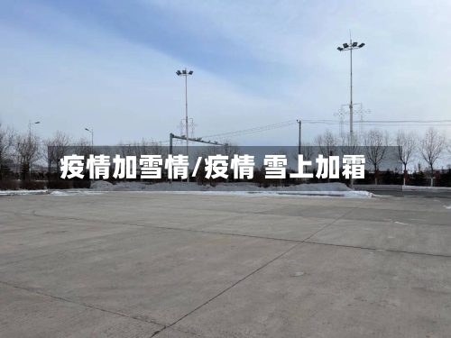 疫情加雪情/疫情 雪上加霜