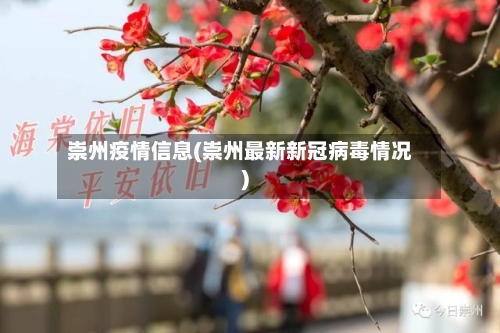 崇州疫情信息(崇州最新新冠病毒情况)-第2张图片