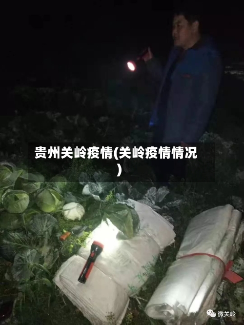 贵州关岭疫情(关岭疫情情况)-第3张图片