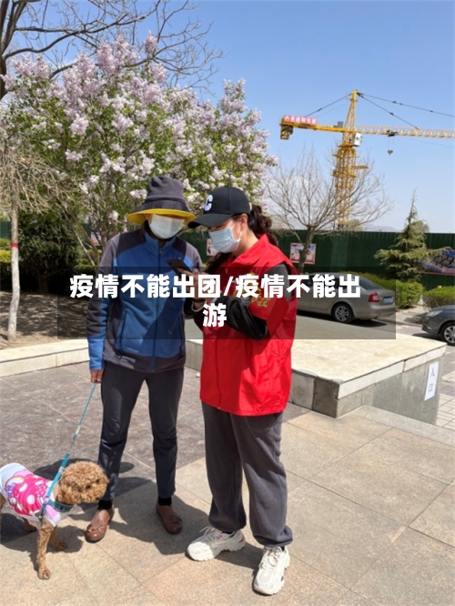 疫情不能出团/疫情不能出游