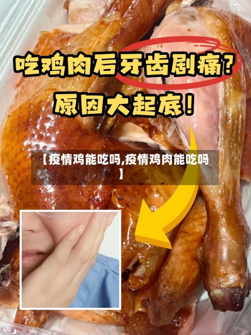 【疫情鸡能吃吗,疫情鸡肉能吃吗】