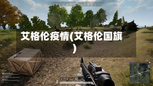 艾格伦疫情(艾格伦国旗)