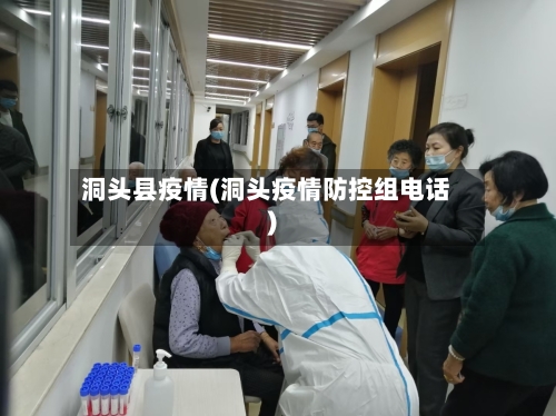 洞头县疫情(洞头疫情防控组电话)