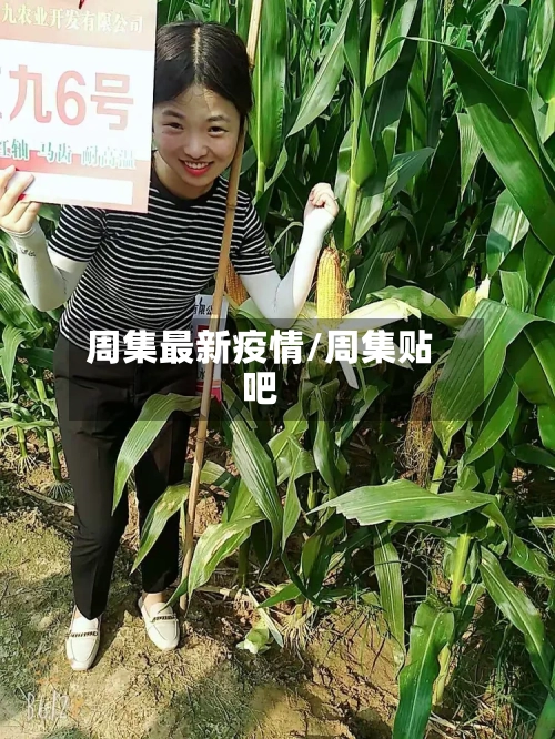 周集最新疫情/周集贴吧