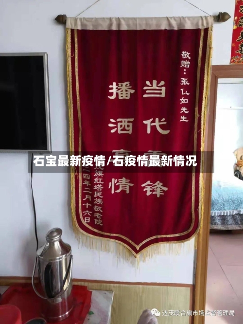 石宝最新疫情/石疫情最新情况
