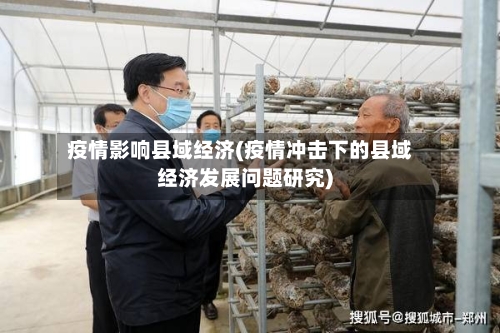 疫情影响县域经济(疫情冲击下的县域经济发展问题研究)-第2张图片