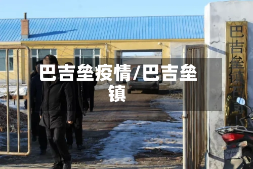 巴吉垒疫情/巴吉垒镇