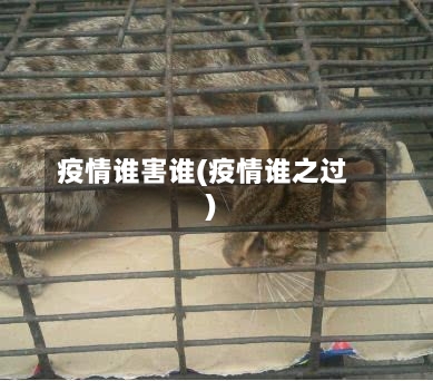 疫情谁害谁(疫情谁之过)