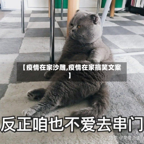 【疫情在家沙雕,疫情在家搞笑文案】-第2张图片