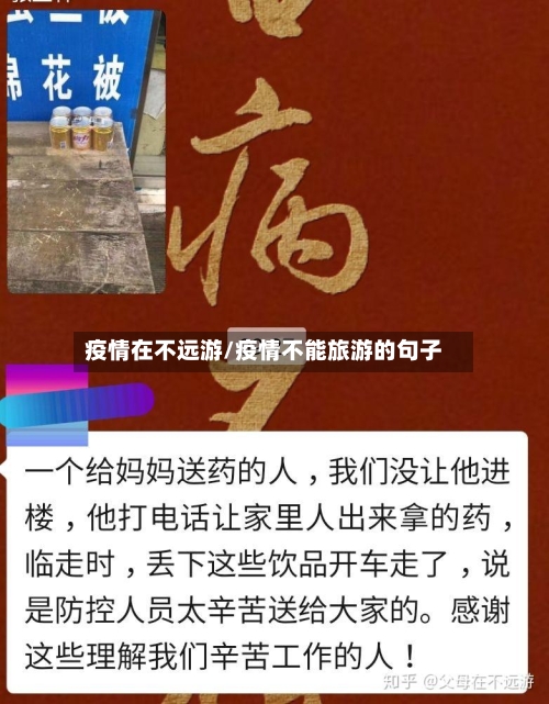 疫情在不远游/疫情不能旅游的句子